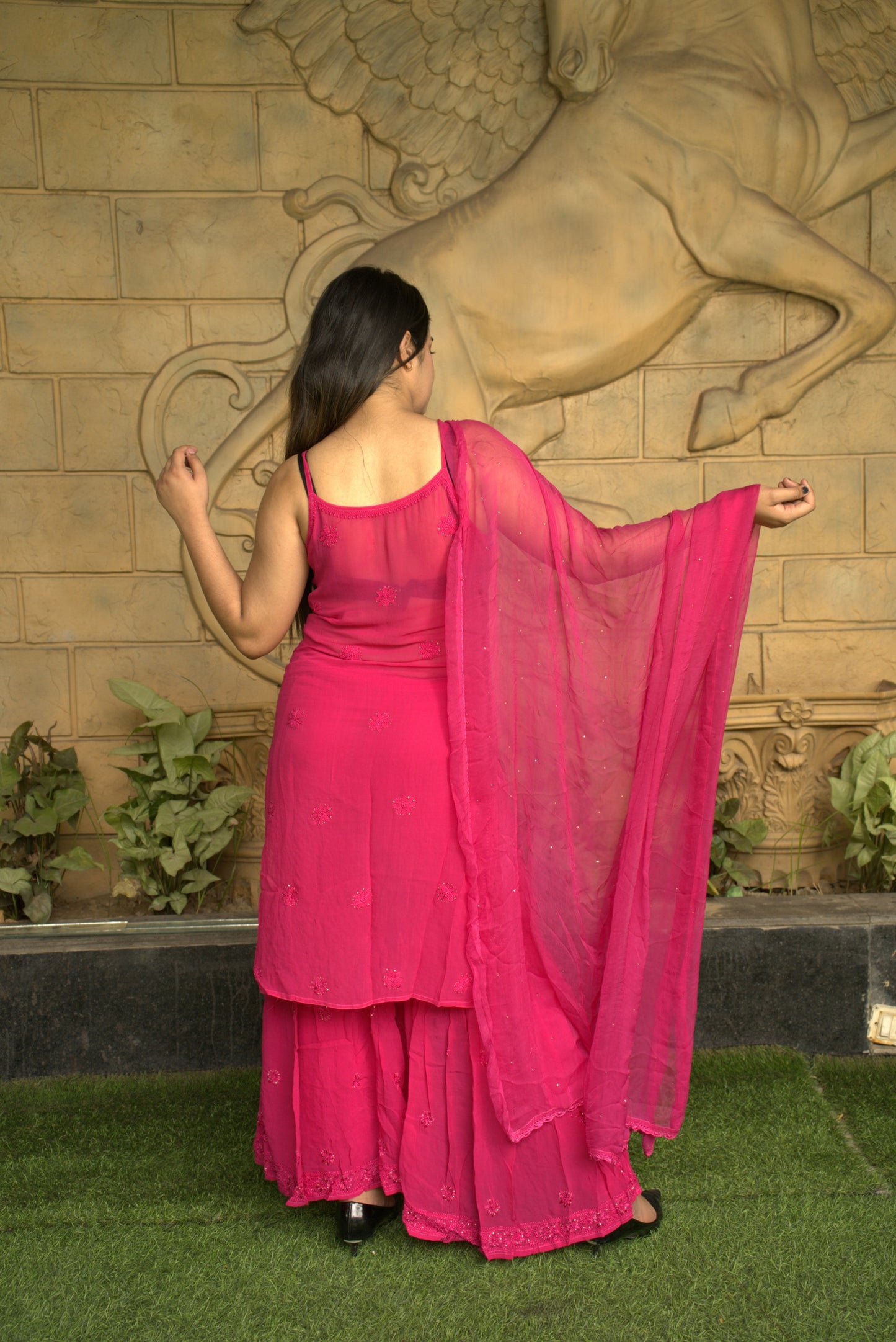 Ruhaani gorgette straight sharara suit